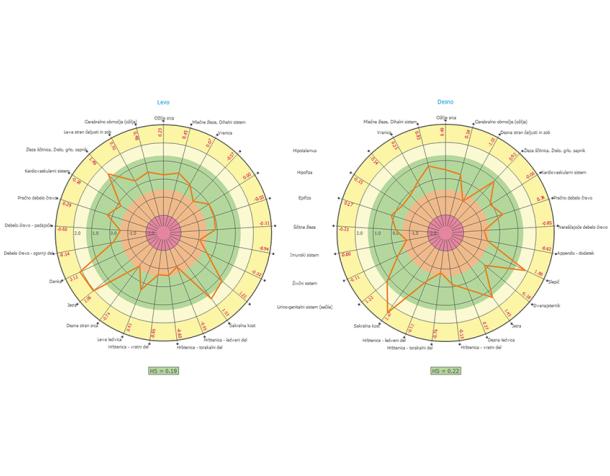 Alefi energijska diagnostika telesa: prikaz območnega diagrama