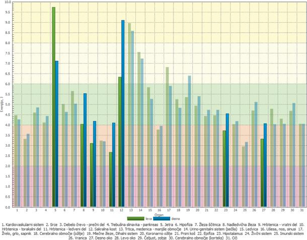 Alefi energijska diagnostika telesa: prikaz energijskih vrednosti sistemov