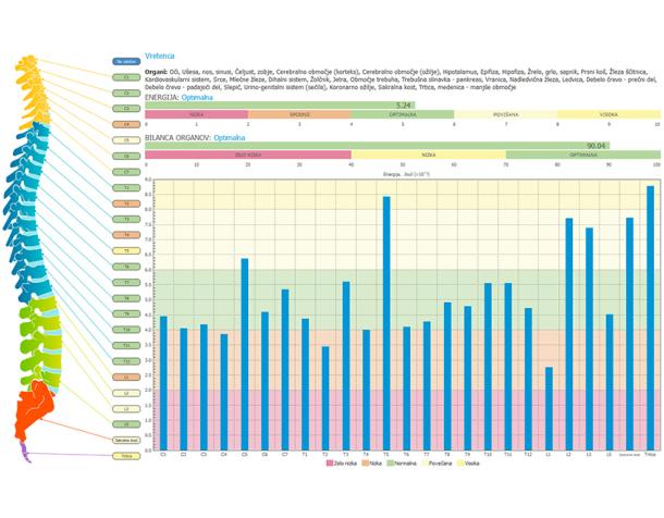 Alefi energijska diagnostika telesa: prikaz energijskih vrednosti vretenc v povezavi z organi